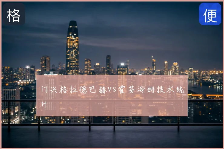 门兴格拉德巴赫vs霍芬海姆技术统计